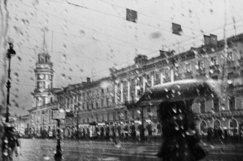 сезон дождейphoto preview