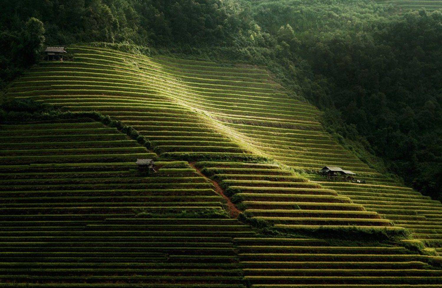 Home. Автор: Hai Trinh Xuan hai, vietnam, mucangchai, вьетнам,, Hai Trinh Xuan