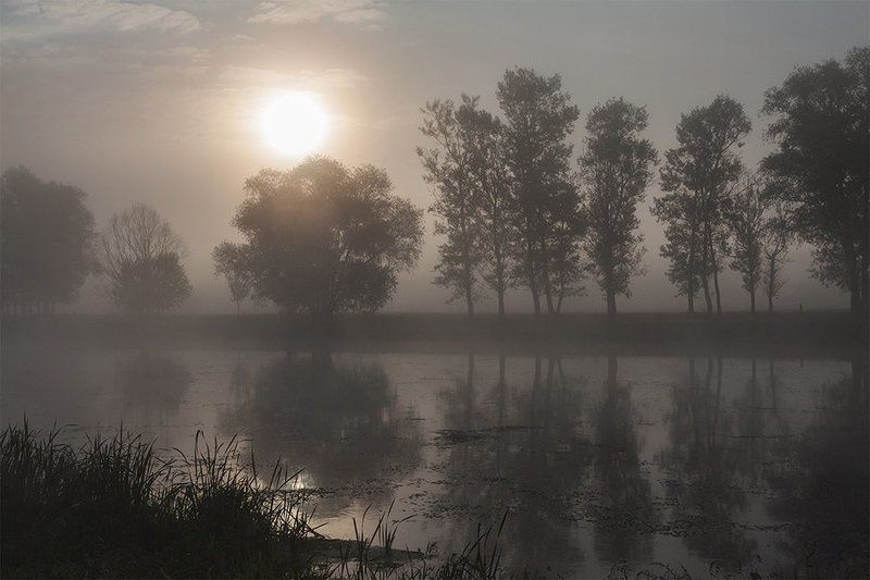 утро, восход, река, солнце, туман Монохром туманного восходаphoto preview