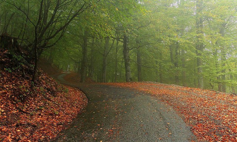 крым, романовское шоссе, туман Осень на дороге Романовыхphoto preview