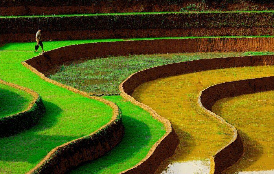 Автор: Frank Dang , Frank Dang