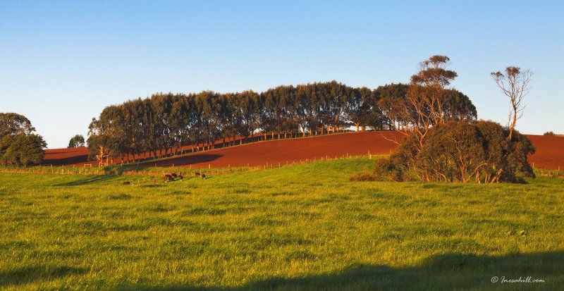 Вечерняя идиллия.photo preview