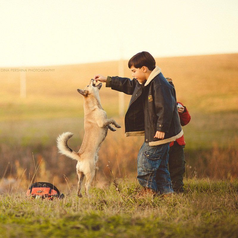 Два брата и их верный песphoto preview