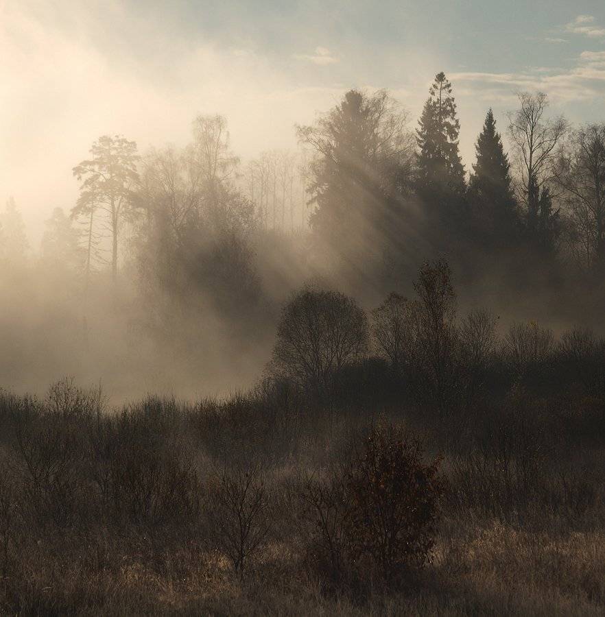 \\\\\. Автор: Владимир Перепечаев , Владимир Перепечаев