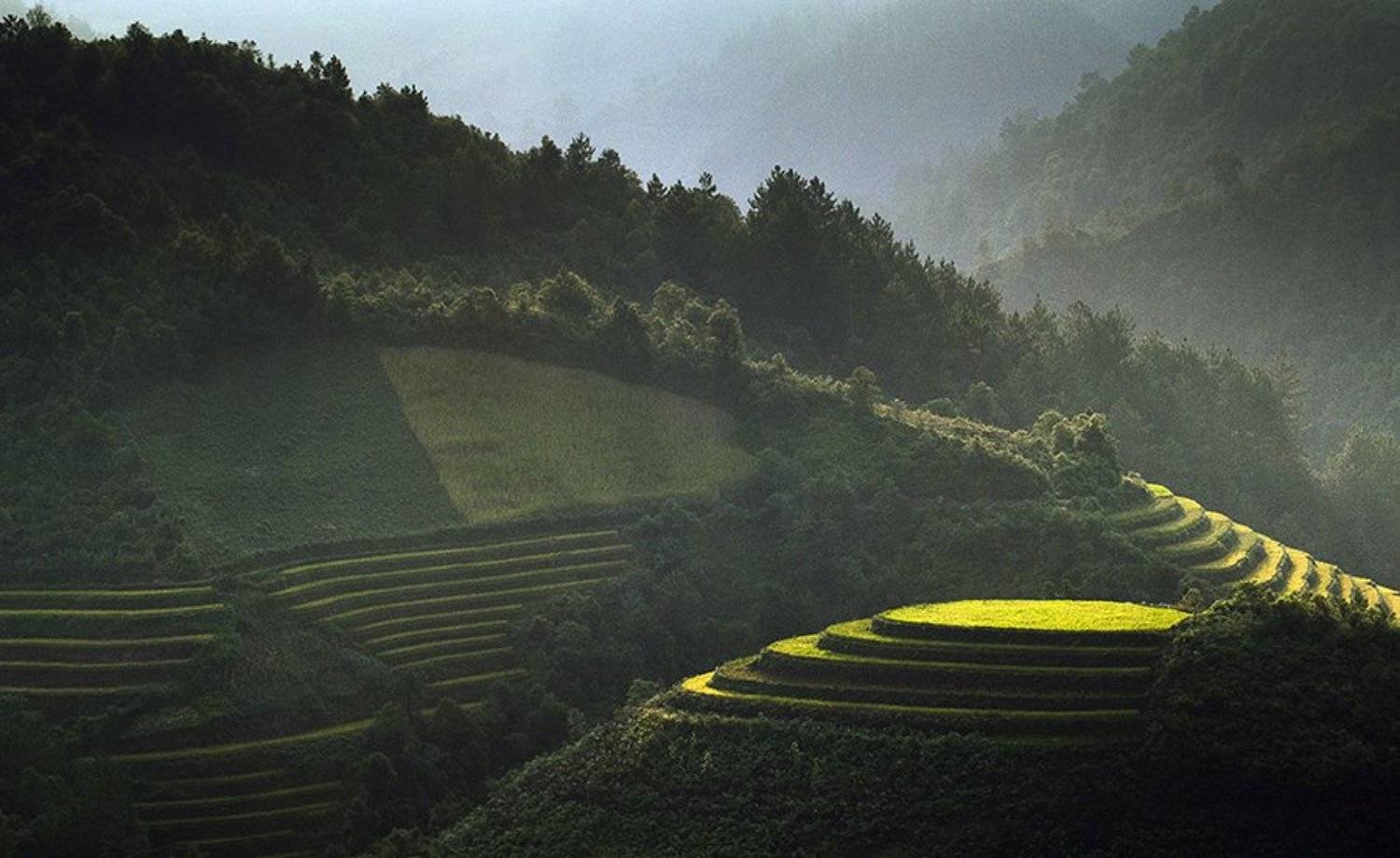 Автор: Hai Trinh Xuan vietnam, mucangchai, вьетнам, hai, Hai Trinh Xuan