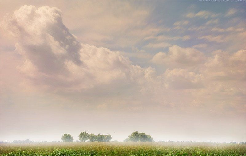 Астраханские степиphoto preview