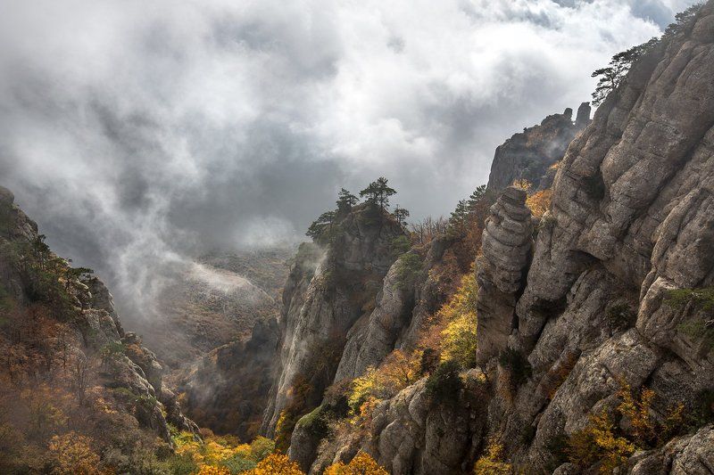 На склонах Демерджи...photo preview