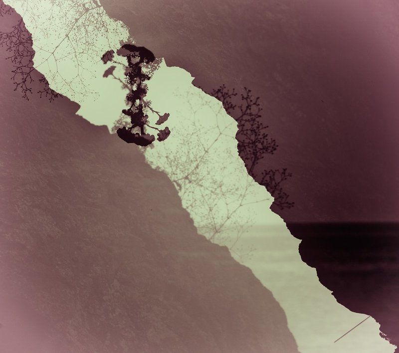 мультиэкспозиция, мультик photo preview