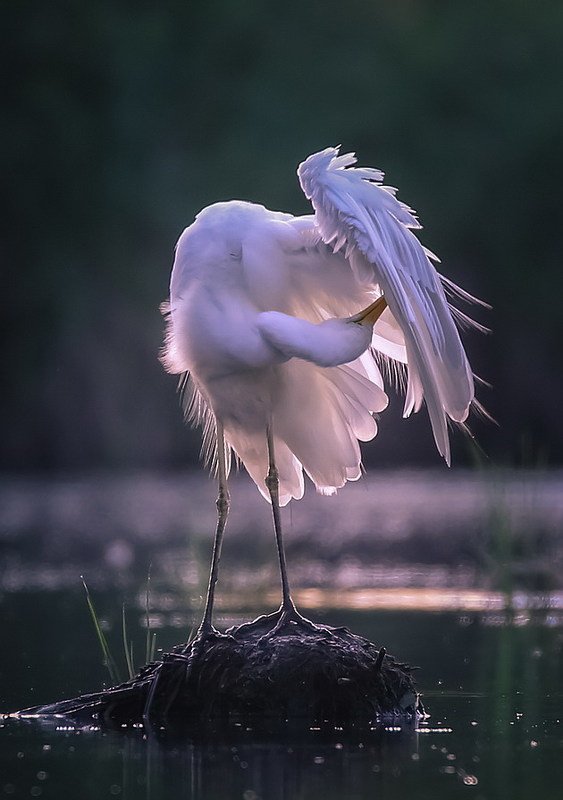 Перед свиданиемphoto preview