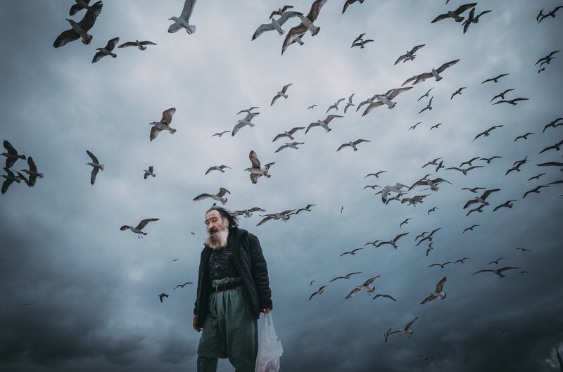 Birdmanphoto preview