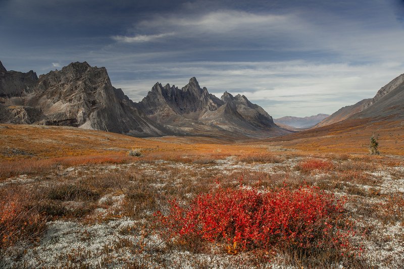 yukon, tombstone ЮКОН В ЦВЕТЕphoto preview