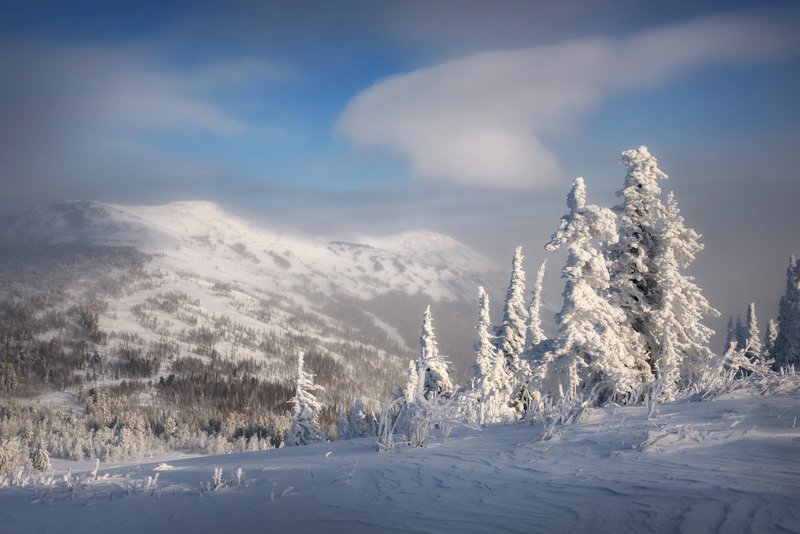 шерегеш, горная шория, кемеровская область, гора мустаг, горы, куржак, иней, елки, ели, зимний пейзаж, снег, снежный ноябрь Там, за дымкойphoto preview