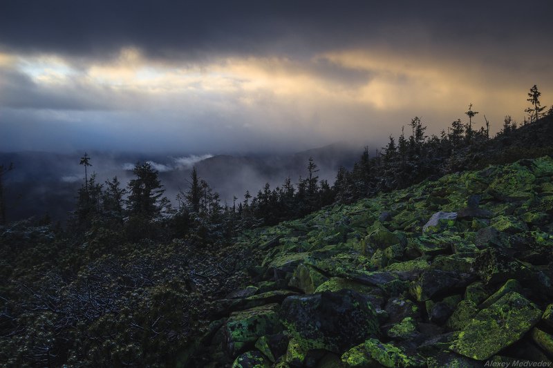 Карпаты, Украина, горганы На склоне дняphoto preview