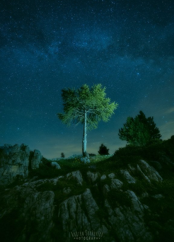 доломиты, dolomiti, dolomites, night, ночь, milky way, млечный путь, дерево Ночной пейзажик из летних Доломит 2photo preview