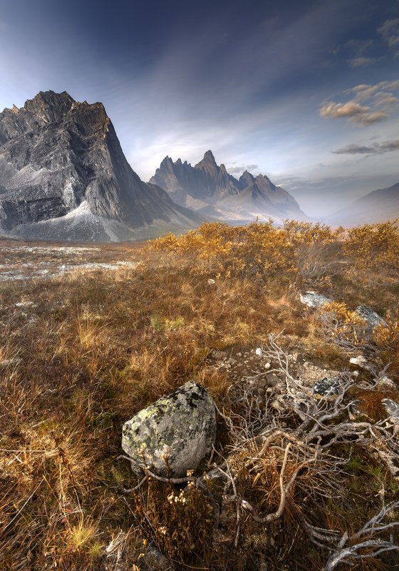 ЗОЛОТО ЮКОНАphoto preview