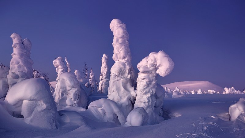 урал, зима, гух, рассвет По следам фотографаphoto preview