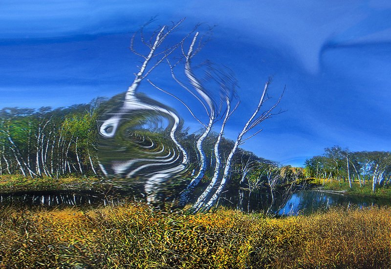 Берёзовая полинезияphoto preview