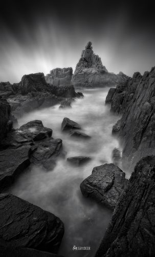 General reef scenery