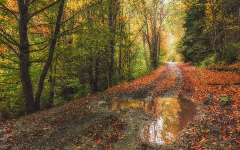 Осенней дорожкой...photo preview