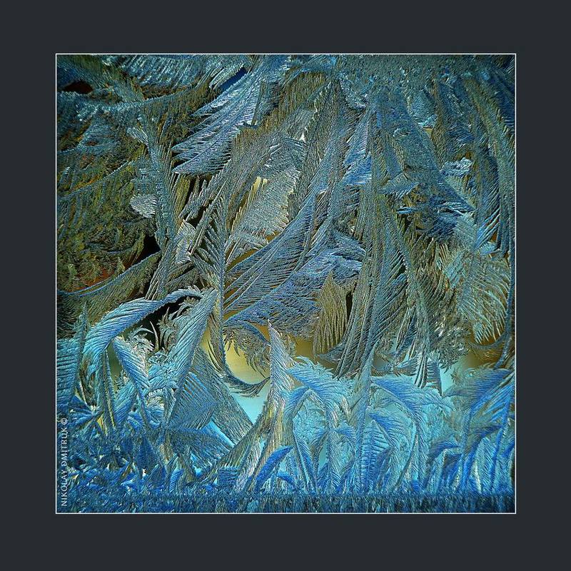 макро волшебный лес. графика мороза 87photo preview