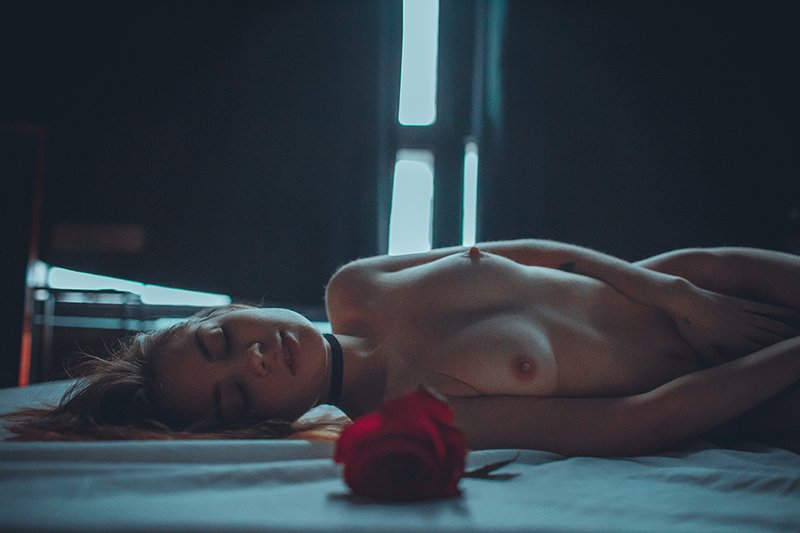 alllx, borisov, portrait, young, girl, cute, love, nu, nude, erotic, art Rose фото превью