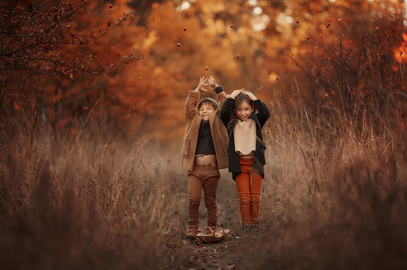 Яблокопадphoto preview