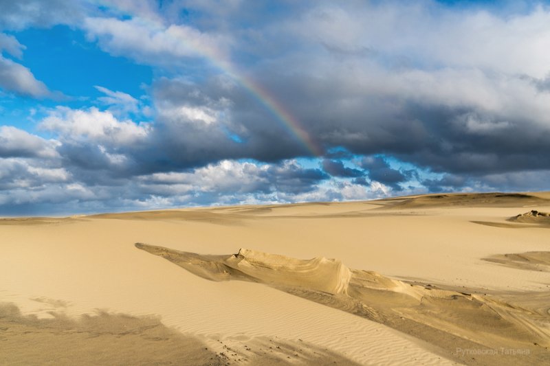 В дюнах после дождяphoto preview