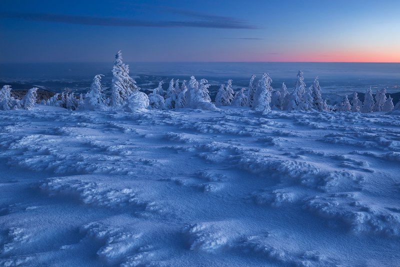 winter, trees, blizzard, snow, landscape, travel, nature, mountain, romania, cold, sunrise Ice Agephoto preview