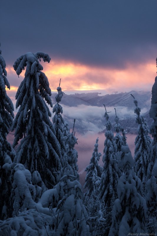 гори, закарпаття, зима, карпати, свидовець, смереки, сутінки, лопухів ***photo preview