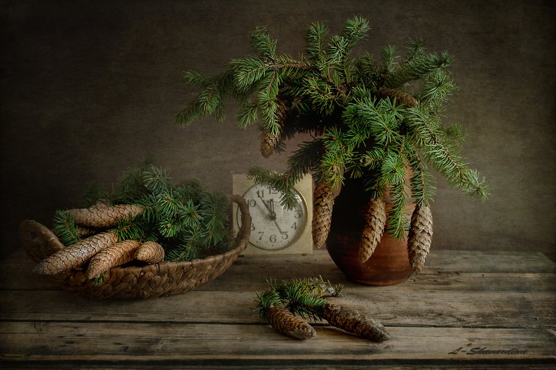 Шишки photo preview