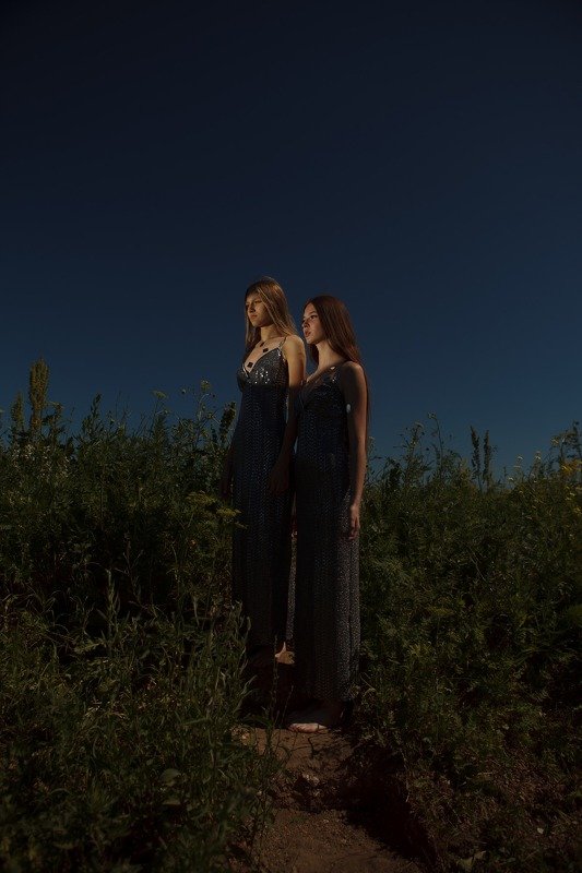 Revoicephoto preview