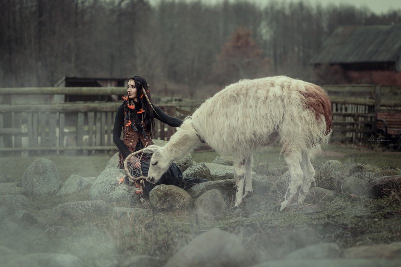 портрет, лама, осень, девушка Shamanphoto preview