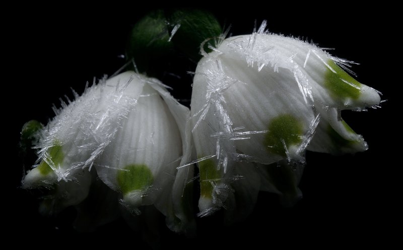 Противостояниеphoto preview