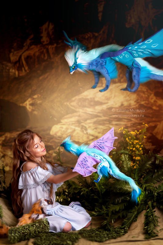 Софи и драконыphoto preview