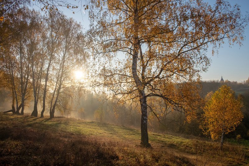 Портфолиоphoto preview