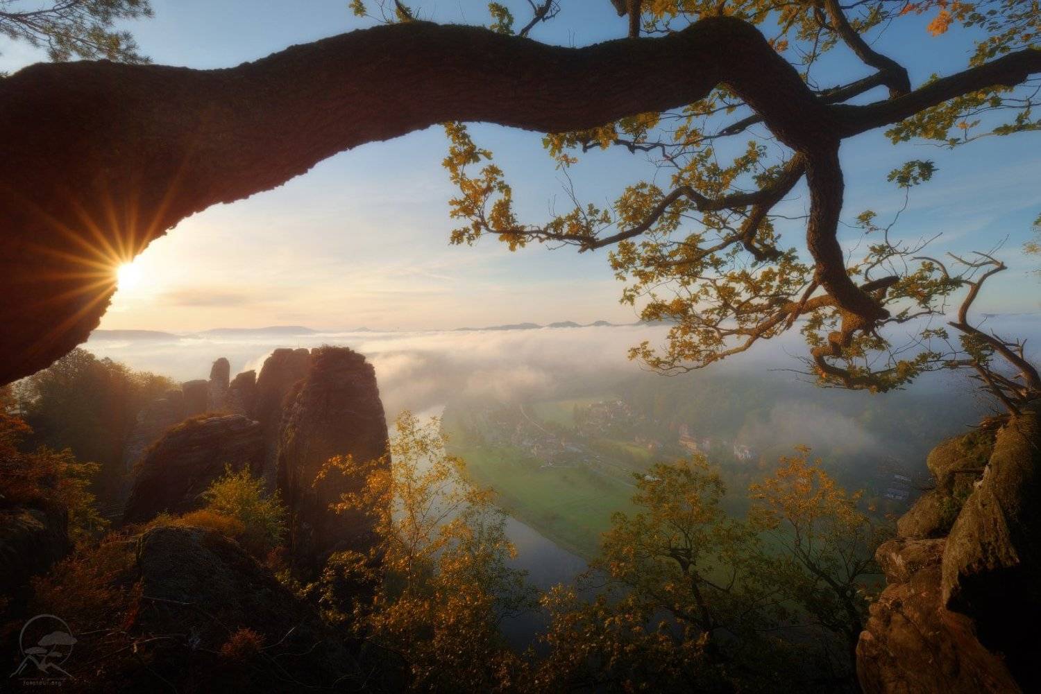 эльба, река, утро, пейзаж, саксония, богемия, Анатолий Гордиенко