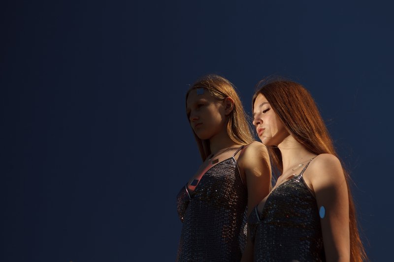 Revoicephoto preview