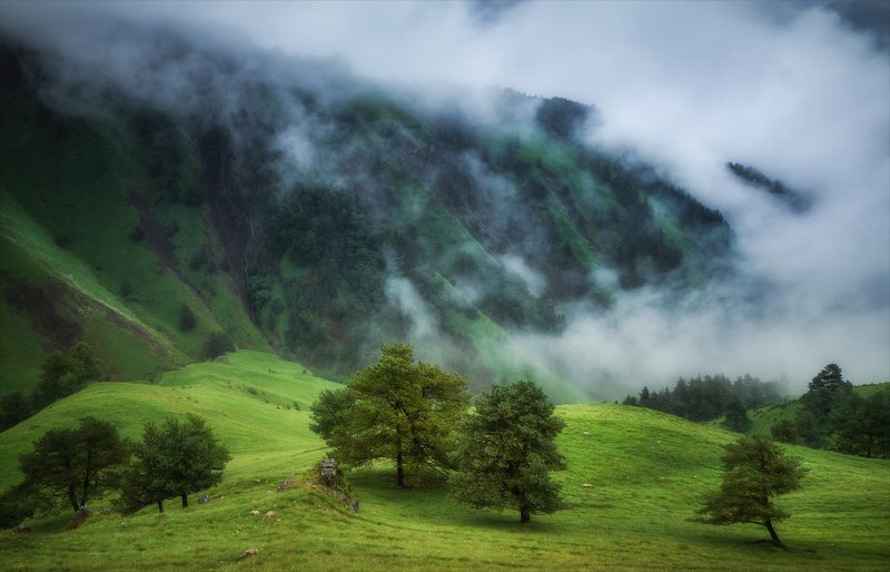 Холодное горное лето.photo preview