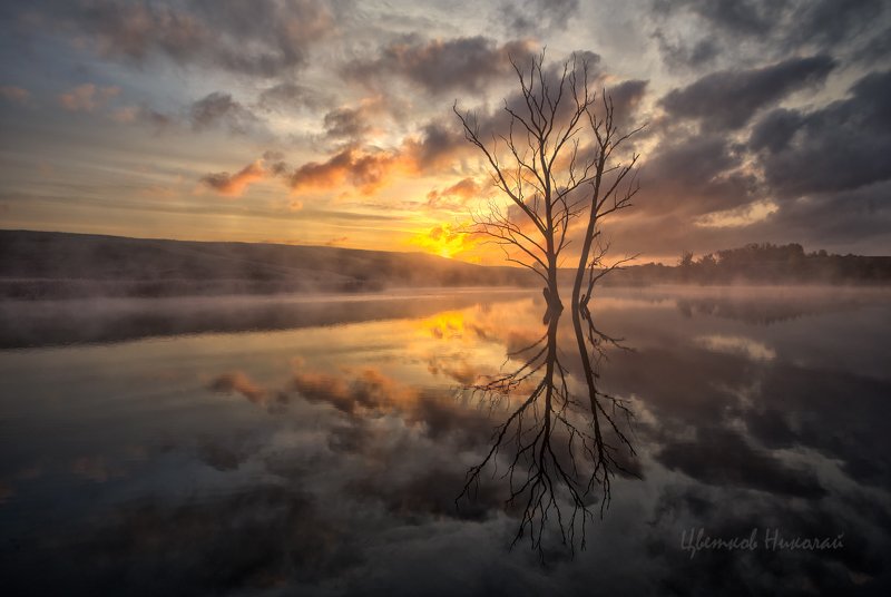 рассвет Рассветphoto preview