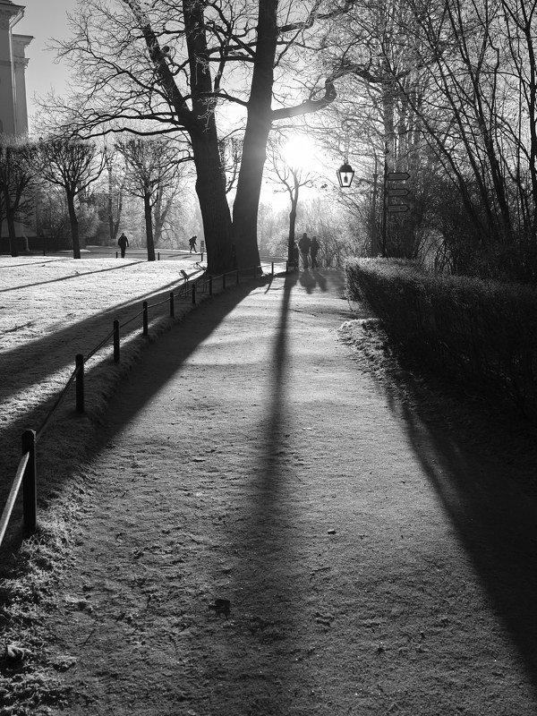 павловск, мороз, солнце, люди, контровой свет 3.photo preview