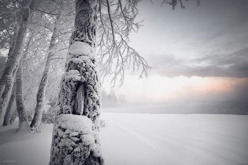 Белая мглаphoto preview