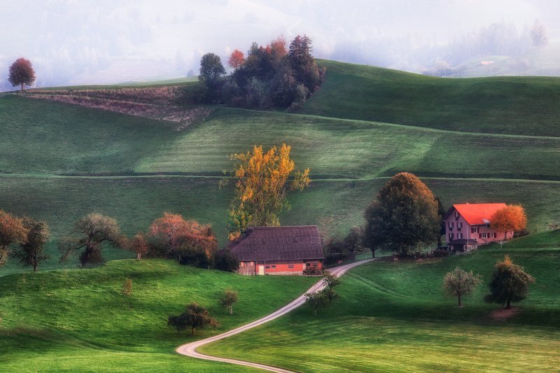 Игрушечный мирphoto preview