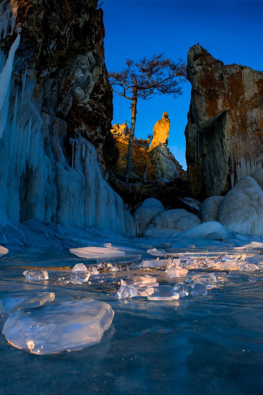 лед, дерево, утро, ольхон Лучи восходящего солнцаphoto preview