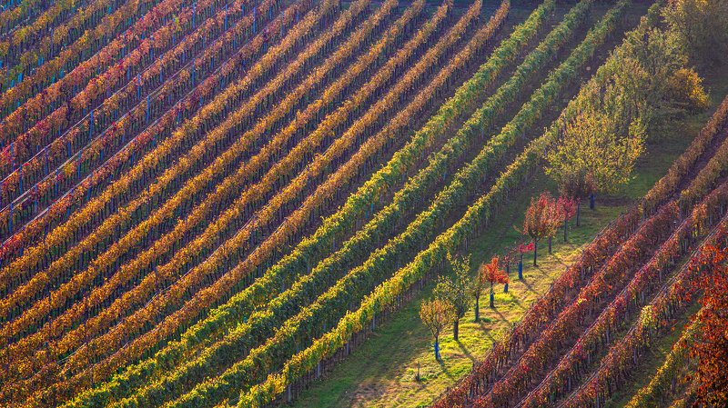 //////*///photo preview