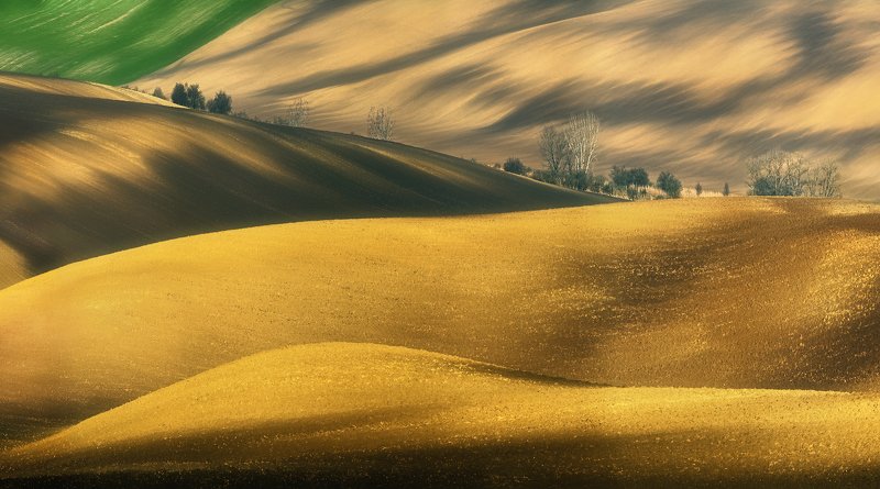 Fields...photo preview