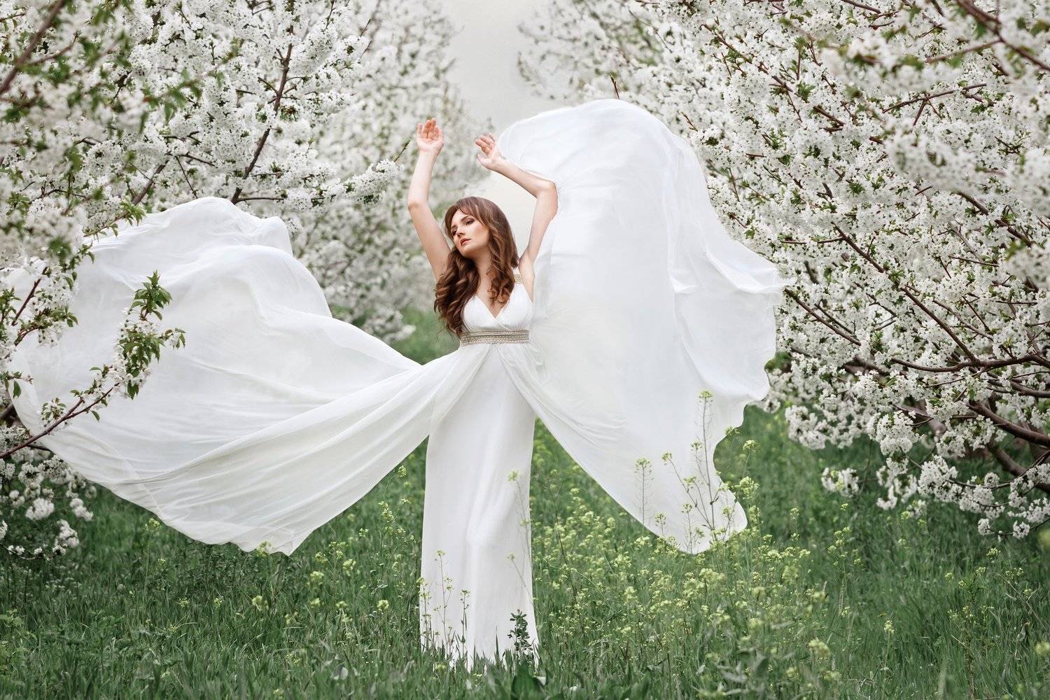 Elena. Автор: Мила Александрова , Мила Александрова