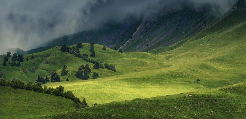 По волнам зеленого лета.photo preview