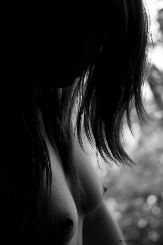 Nude B&W Silhouette photo preview