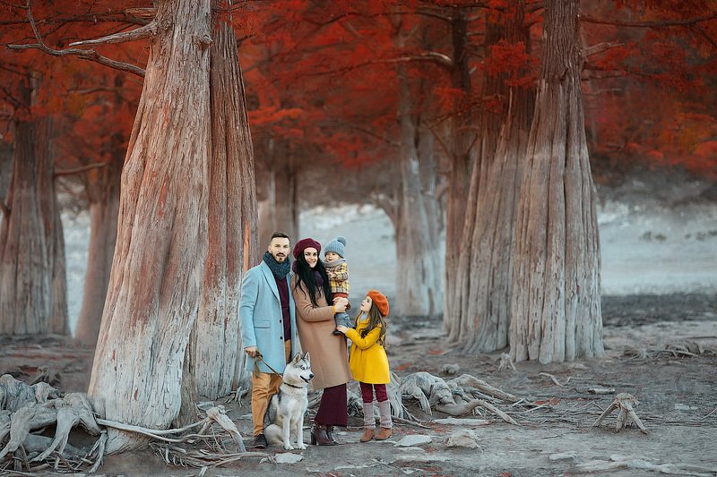 фотопрогулка, детская фотосессия, осень, семья, семейная фотосессия, детский и семейный фотограф, фотосессия, радость, девочки, счастье, детский фотограф, детское фото, мама, папа, дочки, дети на фото, сестрички, семейное фото, кипарисы, закат, любовь *****photo preview