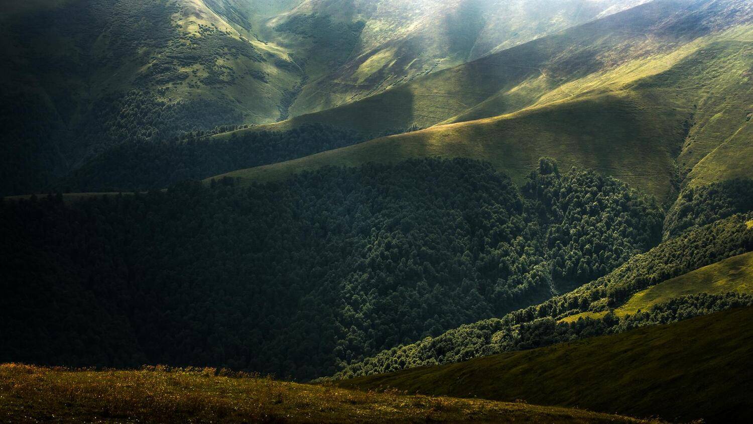 , Полина Хрол